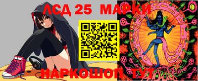 jwh Моздок