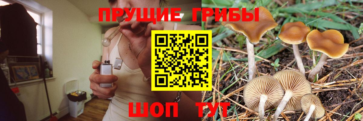 Галлюциногенные грибы Magic Shrooms  Вход с VPN  Сунжа  Псилоцибиновые грибы Cubensis 